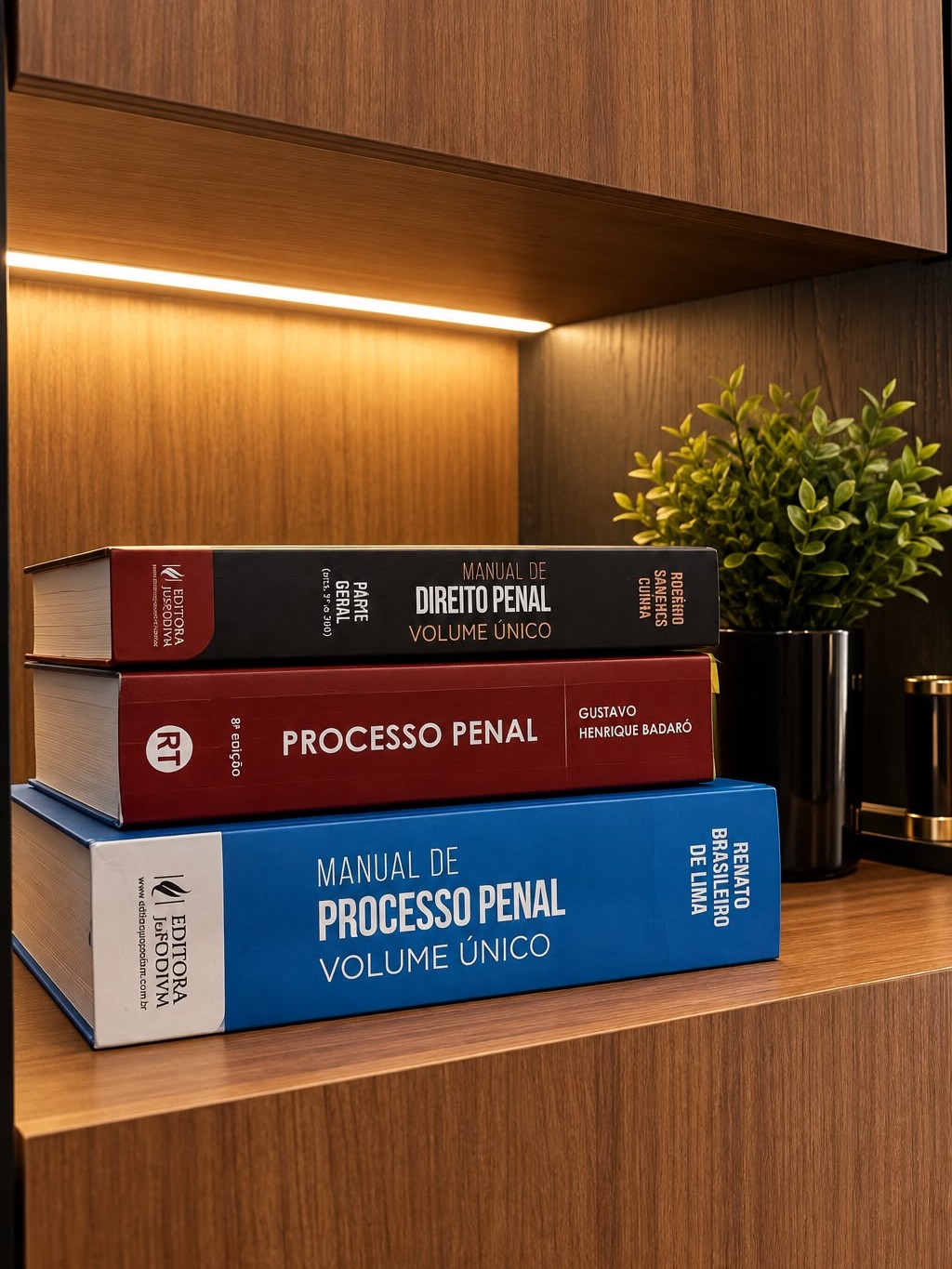 Livros de direito penal e processo penal na estante do escritório